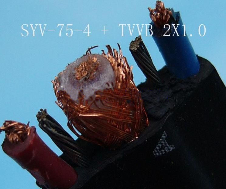 ݌ñOҕlC|TVVBG-TV SYV75-3RV2*0.75 TVVBG-TVSYV75-5RV2*1.0