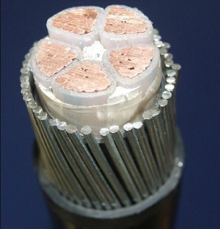Cu/XLPE/GSWA/PVC/FR CU/XLPE/PVC/FR CU/XLPE/STA/PVC/FR ZR-YJV32|r