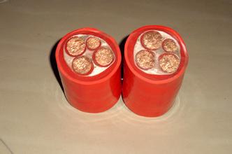 FH-AGBSD-0.6/1KV WDZ-JXGY-0.6/1KV|r(ji)