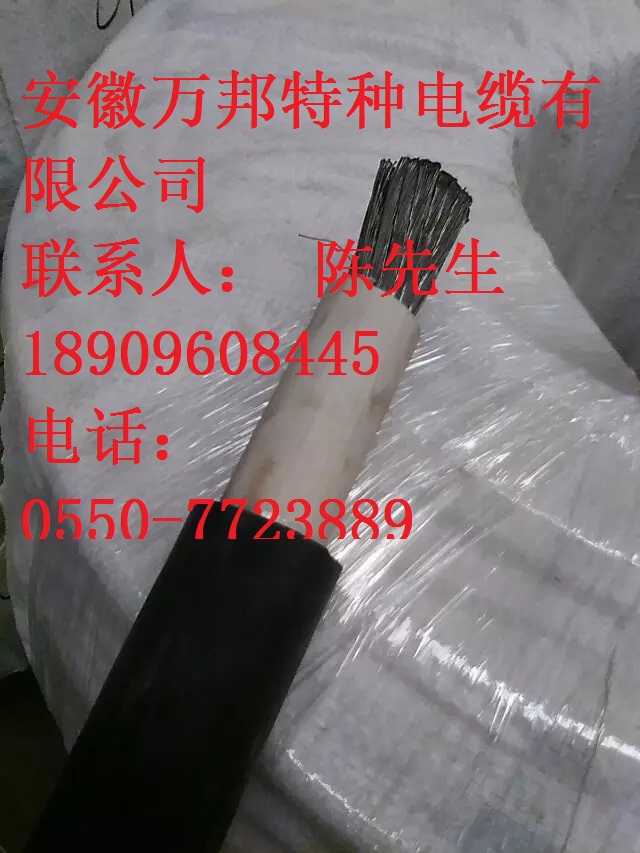 WDZ-DCEVM-125, WDZ-DCEVMP-125 1.8/3kV鐵路機車電纜