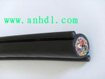 施工升降機專用電纜