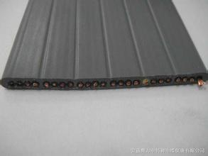 彈性體耐低溫探測(cè)控制扁平軟電纜 彈性體耐低溫探測(cè)控制扁平軟電纜